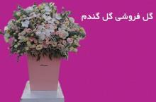گل آرایی در بندرعباس